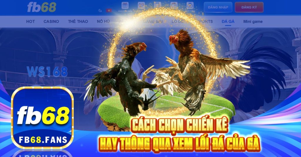 Cach Chon Chien Ke Hay Thong Qua Xem Loi Da Cua Ga 1